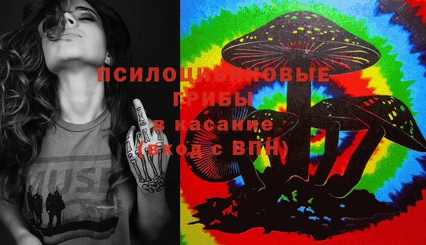 ПСИЛОЦИБИНОВЫЕ ГРИБЫ Алзамай