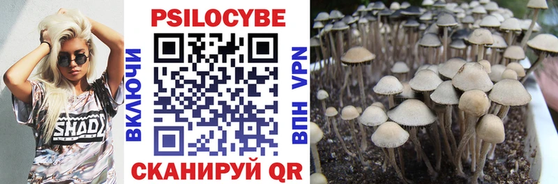 Псилоцибиновые грибы Psilocybe  Урюпинск 